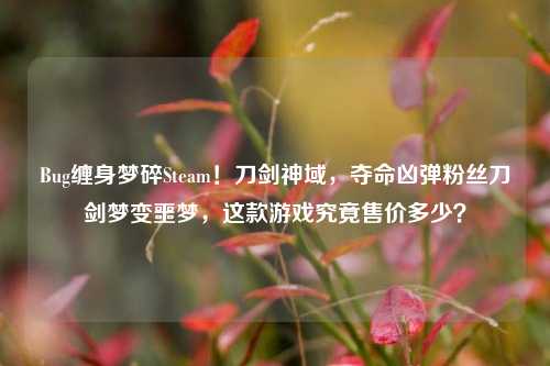 Bug缠身梦碎Steam!刀剑神域,夺命凶弹粉丝刀剑梦变噩梦,这款游戏究竟售价多少?
