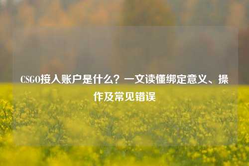 CSGO接入账户是什么？一文读懂绑定意义、操作及常见错误