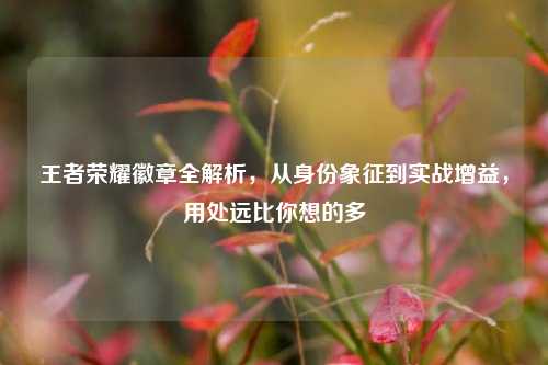 王者荣耀徽章全解析,从身份象征到实战增益,用处远比你想的多