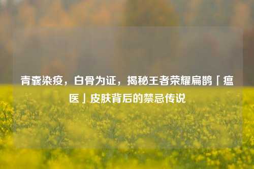 青囊染疫,白骨为证,揭秘王者荣耀扁鹊「瘟医」皮肤背后的禁忌传说