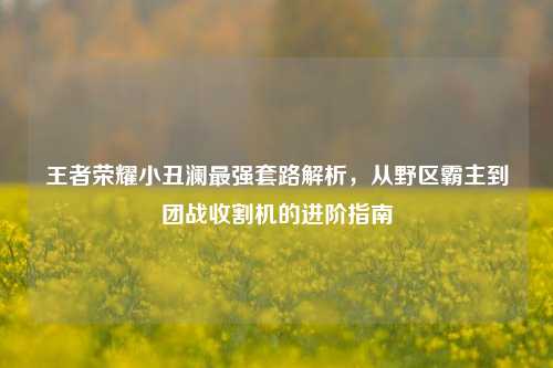 王者荣耀小丑澜最强套路解析,从野区霸主到团战收割机的进阶指南