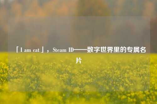 「I am cat」,Steam ID——数字世界里的专属名片