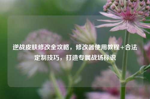 逆战皮肤修改全攻略,修改器使用教程+合法定制技巧,打造专属战场标识