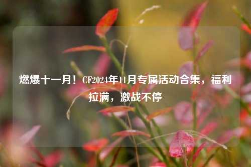 燃爆十一月!CF2024年11月专属活动合集,福利拉满,激战不停