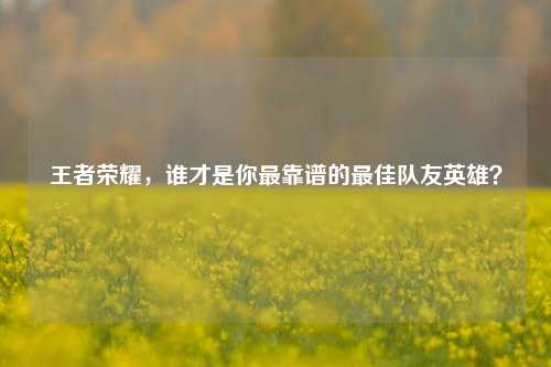 王者荣耀，谁才是你最靠谱的最佳队友英雄？
