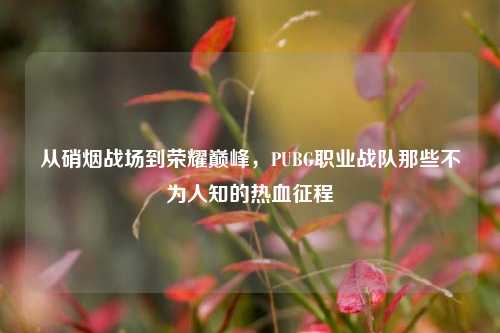 从硝烟战场到荣耀巅峰，PUBG职业战队那些不为人知的热血征程