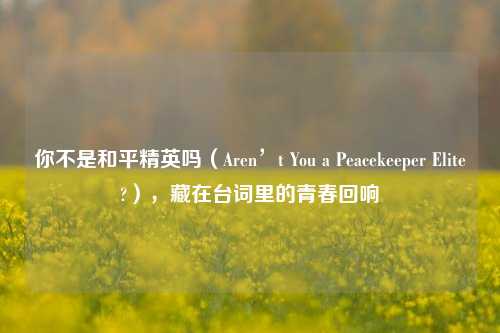 你不是和平精英吗（Aren’t You a Peacekeeper Elite?），藏在台词里的青春回响