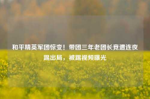 和平精英军团惊变!带团三年老团长竟遭连夜踢出局,被踢视频曝光