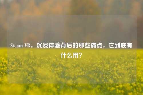 Steam VR，沉浸体验背后的那些痛点，它到底有什么用？