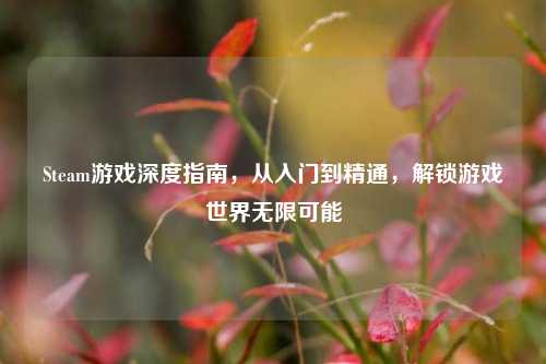 Steam游戏深度指南，从入门到精通，解锁游戏世界无限可能