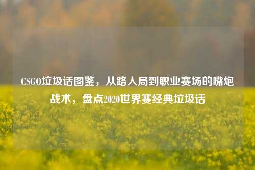 CSGO垃圾话图鉴，从路人局到职业赛场的嘴炮战术，盘点2020世界赛经典垃圾话
