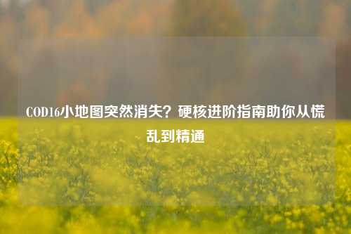 COD16小地图突然消失？硬核进阶指南助你从慌乱到精通