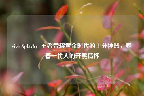 vivo Xplay6,王者荣耀黄金时代的上分神器,藏着一代人的开黑情怀