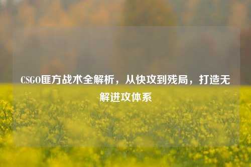 CSGO匪方战术全解析，从快攻到残局，打造无解进攻体系