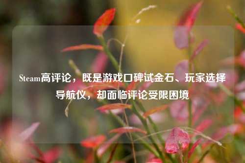 Steam高评论,既是游戏口碑试金石、玩家选择导航仪,却面临评论受限困境