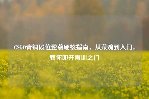 CSGO青铜段位逆袭硬核指南，从菜鸡到入门，教你叩开青训之门