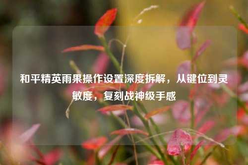 和平精英雨果操作设置深度拆解,从键位到灵敏度,复刻战神级手感