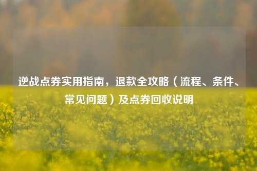 逆战点券实用指南,退款全攻略(流程、条件、常见问题)及点券回收说明