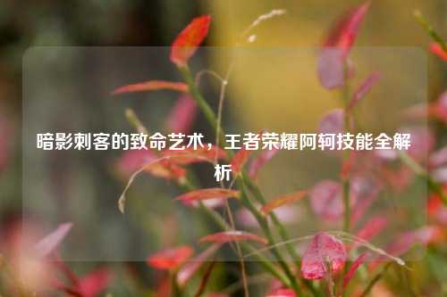 暗影刺客的致命艺术，王者荣耀阿轲技能全解析