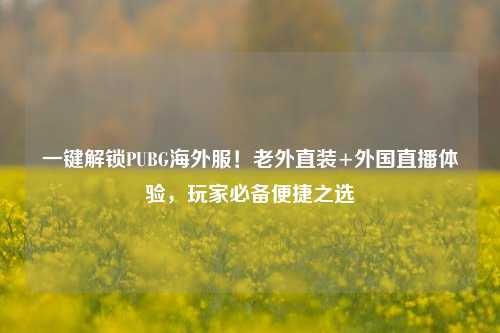 一键解锁PUBG海外服!老外直装+外国直播体验,玩家必备便捷之选