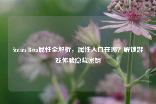 Steam Beta属性全解析,属性入口在哪?解锁游戏体验隐藏密钥