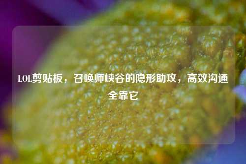 LOL剪贴板，召唤师峡谷的隐形助攻，高效沟通全靠它