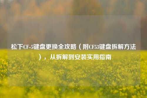松下CF-5键盘更换全攻略（附CF53键盘拆解方法），从拆解到安装实用指南