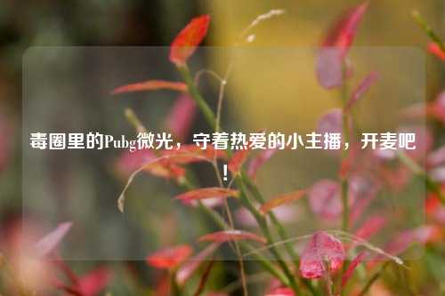 毒圈里的Pubg微光，守着热爱的小主播，开麦吧！