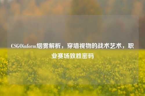 CSGOinform烟雾解析，穿墙视物的战术艺术，职业赛场致胜密码