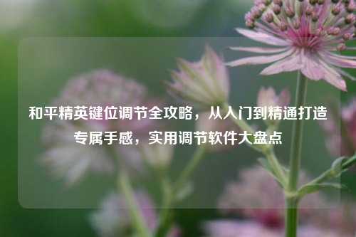 和平精英键位调节全攻略，从入门到精通打造专属手感，实用调节软件大盘点