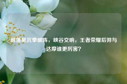 箭落星沉拳破阵,峡谷交响,王者荣耀后羿与达摩谁更厉害?