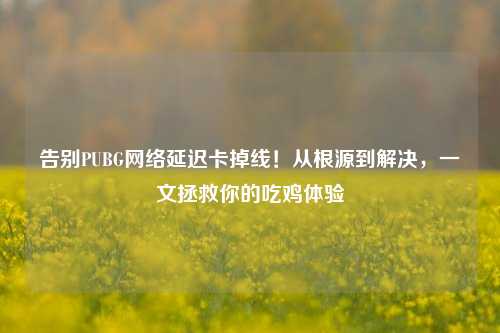 告别PUBG网络延迟卡掉线！从根源到解决，一文拯救你的吃鸡体验