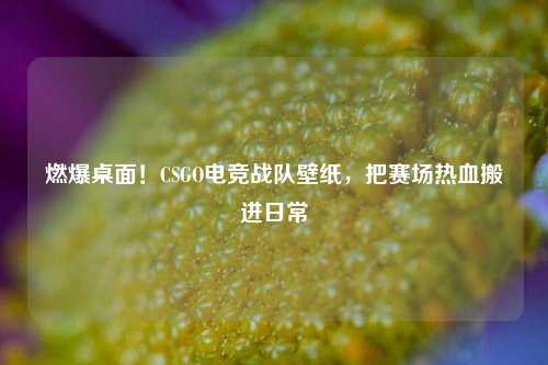 燃爆桌面!CSGO电竞战队壁纸,把赛场热血搬进日常