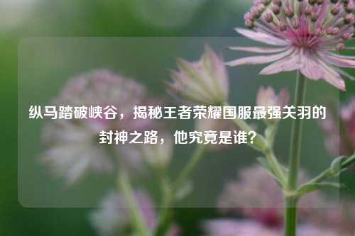 纵马踏破峡谷,揭秘王者荣耀国服最强关羽的封神之路,他究竟是谁?