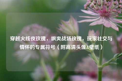 穿越火线夜玫瑰,飒爽战场玫瑰,玩家社交与情怀的专属符号(附高清头像&壁纸)