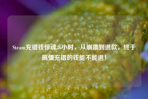 Steam充错钱惊魂36小时，从崩溃到退款，终于搞懂充错的钱能不能退！