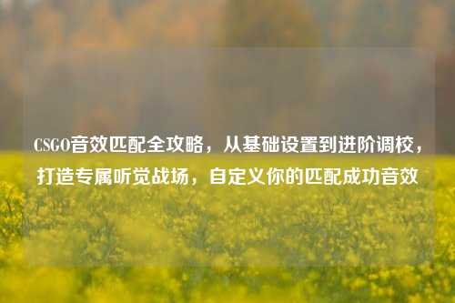 CSGO音效匹配全攻略，从基础设置到进阶调校，打造专属听觉战场，自定义你的匹配成功音效
