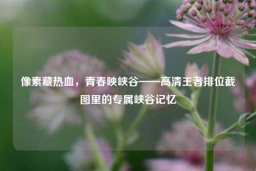 像素藏热血，青春映峡谷——高清王者排位截图里的专属峡谷记忆