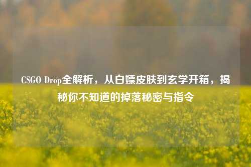 CSGO Drop全解析,从白嫖皮肤到玄学开箱,揭秘你不知道的掉落秘密与指令