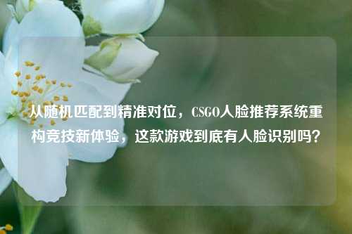 从随机匹配到精准对位,CSGO人脸推荐系统重构竞技新体验,这款游戏到底有人脸识别吗?
