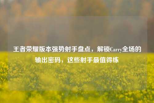 王者荣耀版本强势射手盘点,解锁Carry全场的输出密码,这些射手最值得练