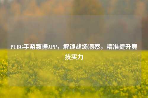 PUBG手游数据APP,解锁战场洞察,精准提升竞技实力