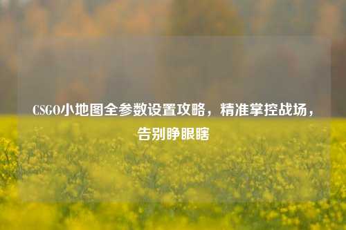 CSGO小地图全参数设置攻略,精准掌控战场,告别睁眼瞎