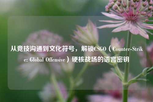 从竞技沟通到文化符号,解锁CSGO(Counter-Strike: Global Offensive)硬核战场的语言密钥