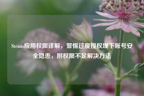Steam应用权限详解，警惕过度授权埋下账号安全隐患，附权限不足解决方法