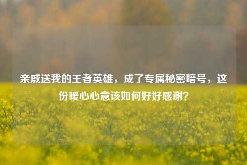 亲戚送我的王者英雄，成了专属秘密暗号，这份暖心心意该如何好好感谢？