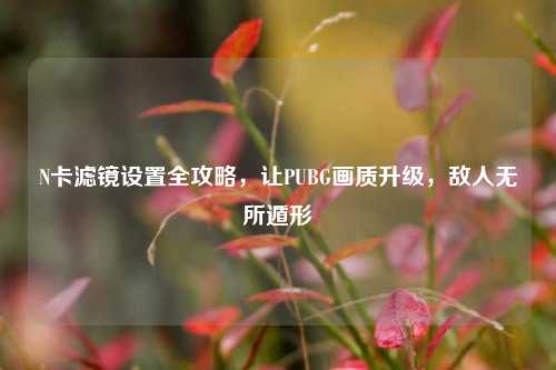 N卡滤镜设置全攻略,让PUBG画质升级,敌人无所遁形