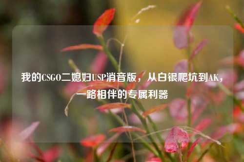 我的CSGO二媳妇USP消音版，从白银爬坑到AK，一路相伴的专属利器
