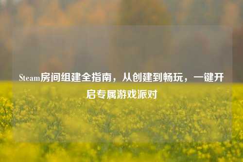 Steam房间组建全指南,从创建到畅玩,一键开启专属游戏派对