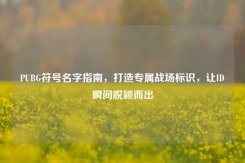 PUBG符号名字指南,打造专属战场标识,让ID瞬间脱颖而出